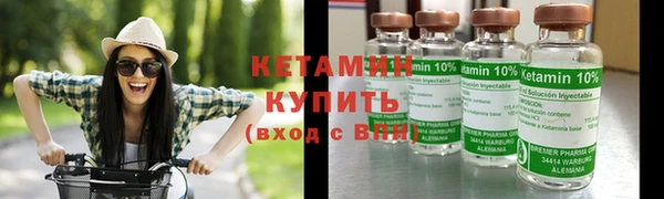 сатива Вязьма