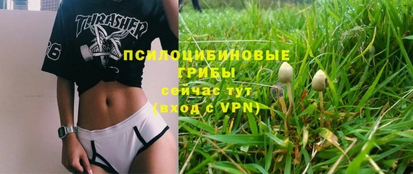 сатива Вязьма